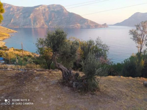 The traditional house-Skalia,kalymnos